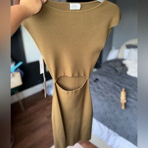 Never worn aritzia dress